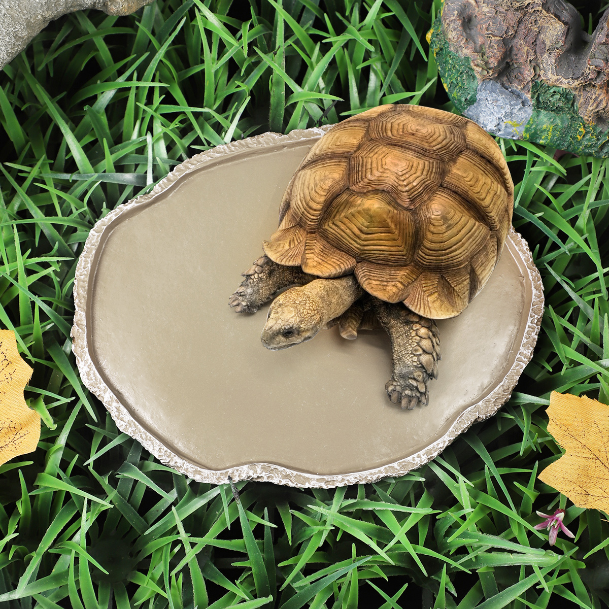 Pets Feeding Plate Reptile Fee – Water Dish Reptile Bewertung und Preis