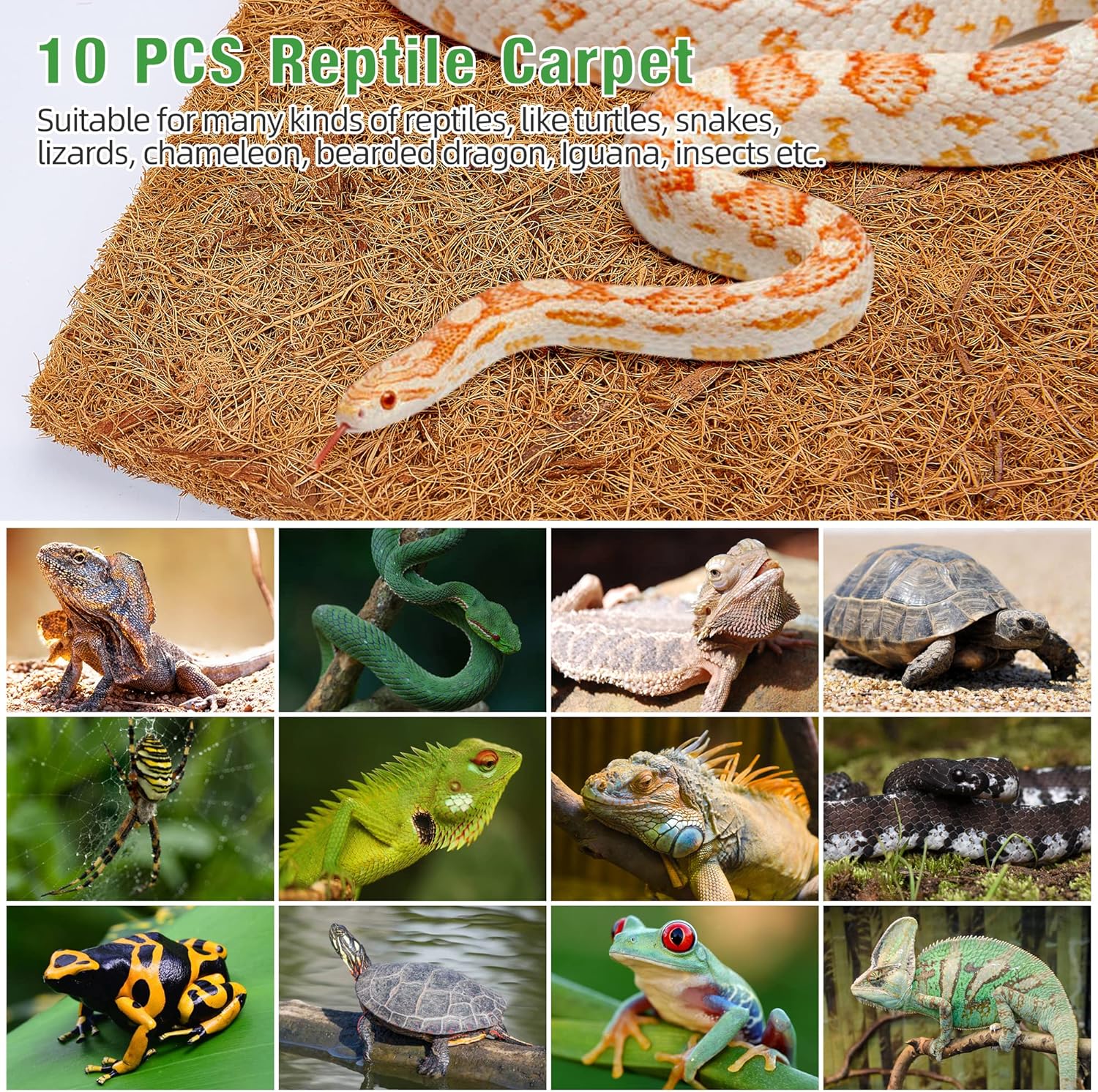 10 Pcs Reptile Carpet, 12x12 i – Substrate Coconut Fiber Bewertung und Preis
