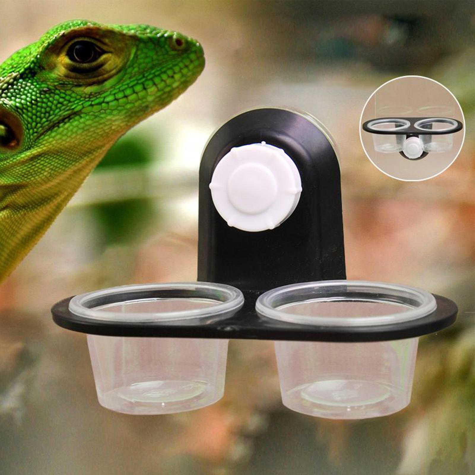 Gecko Food Dish Gecko Feeding  – Water Dish Reptile Bewertung und Preis