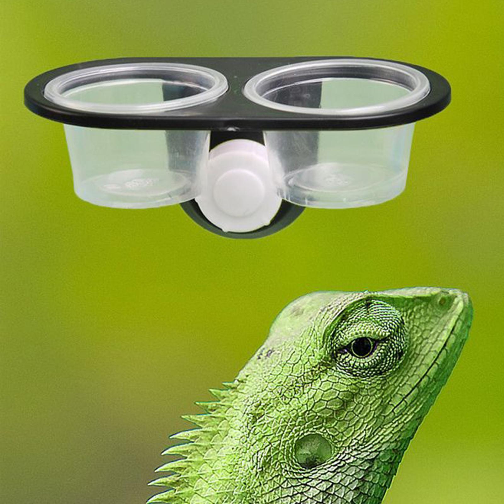 Gecko Food Dish Gecko Feeding  – Water Dish Reptile Bewertung und Preis