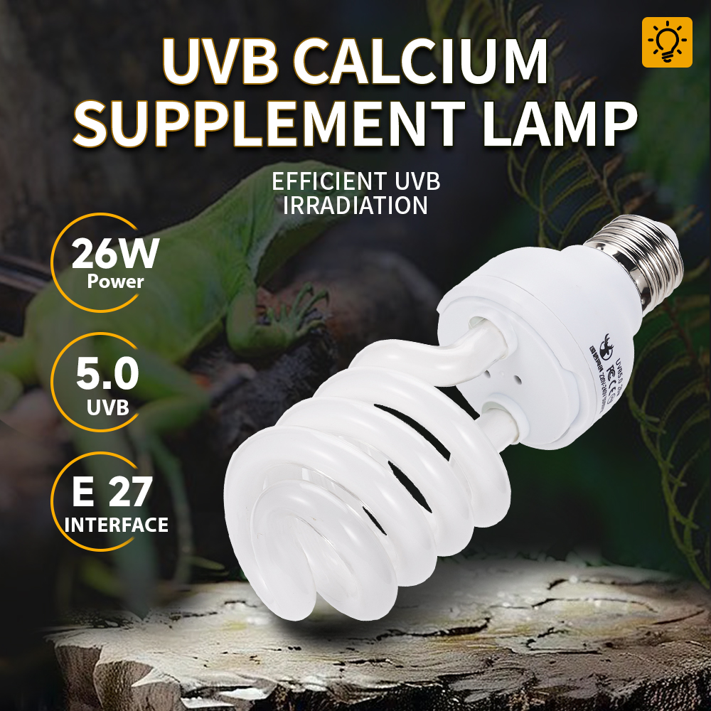 26W Pet Box Lamp Calcium Suppl – Calcium Powder Reptile Bewertung und Preis