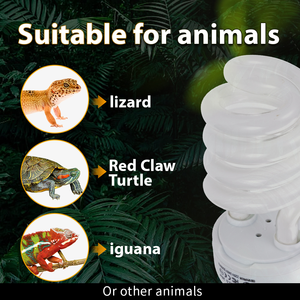 26W Pet Box Lamp Calcium Suppl – Calcium Powder Reptile Bewertung und Preis