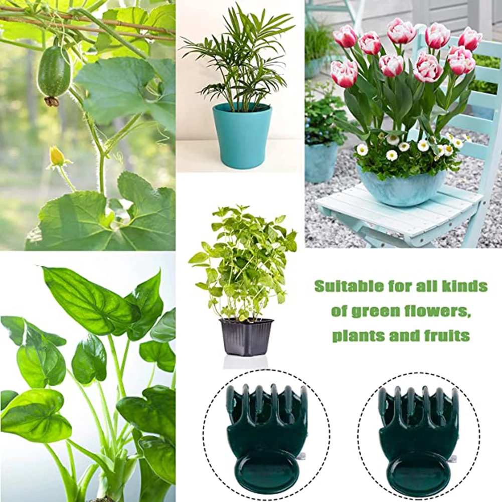 Phalaenopsis Orchid Support Cl – Vine Climbing Plastic Bewertung und Preis