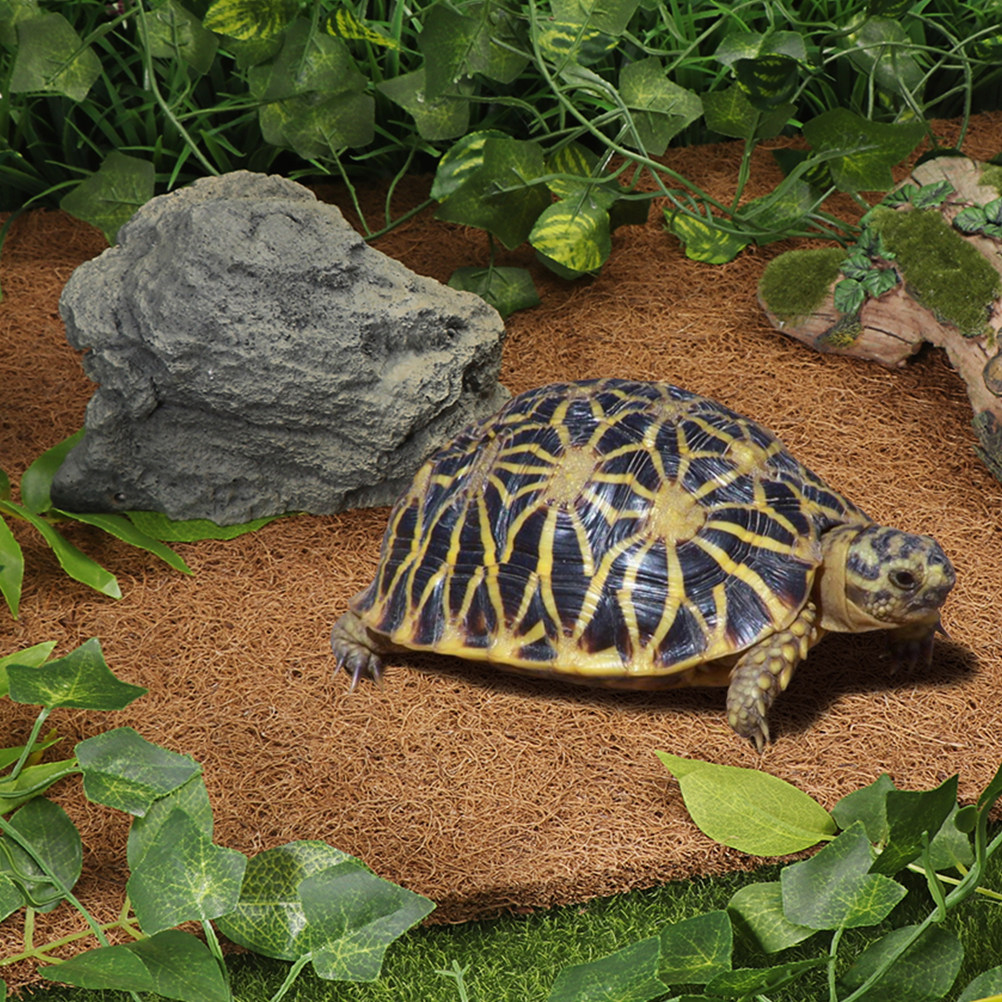Reptile Terrarium Bedding Subs – Substrate Coconut Fiber Bewertung und Preis