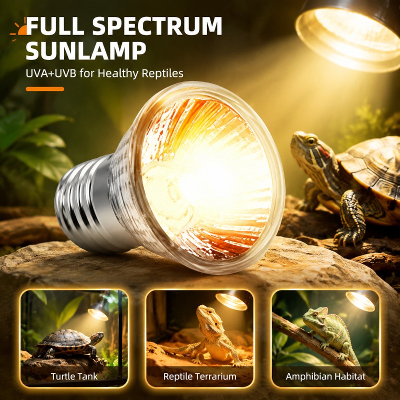 Multi-use Pet Basking Heat Lam – Calcium Powder Reptile Bewertung und Preis