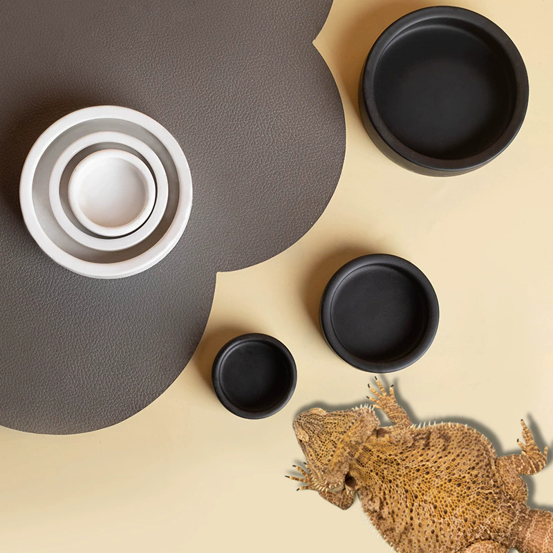 HOT! Reptile Food Bowl Anti-Es – Water Dish Reptile Bewertung und Preis