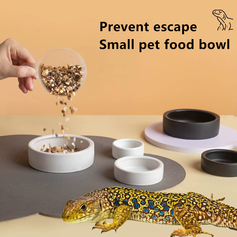 HOT! Reptile Food Bowl Anti-Es – Water Dish Reptile Bewertung und Preis