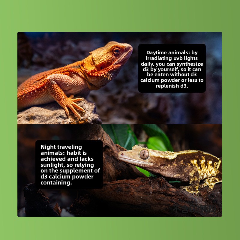 Reptizoo Reptile Calcium Powde – Vitamin D3 Reptile Bewertung und Preis