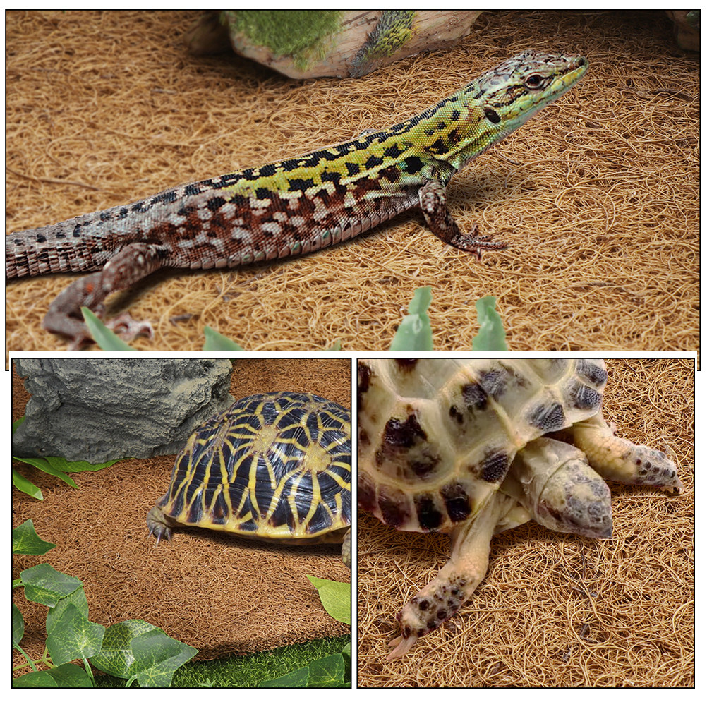 Reptile Carpet Natural Coconut – Substrate Coconut Fiber Bewertung und Preis