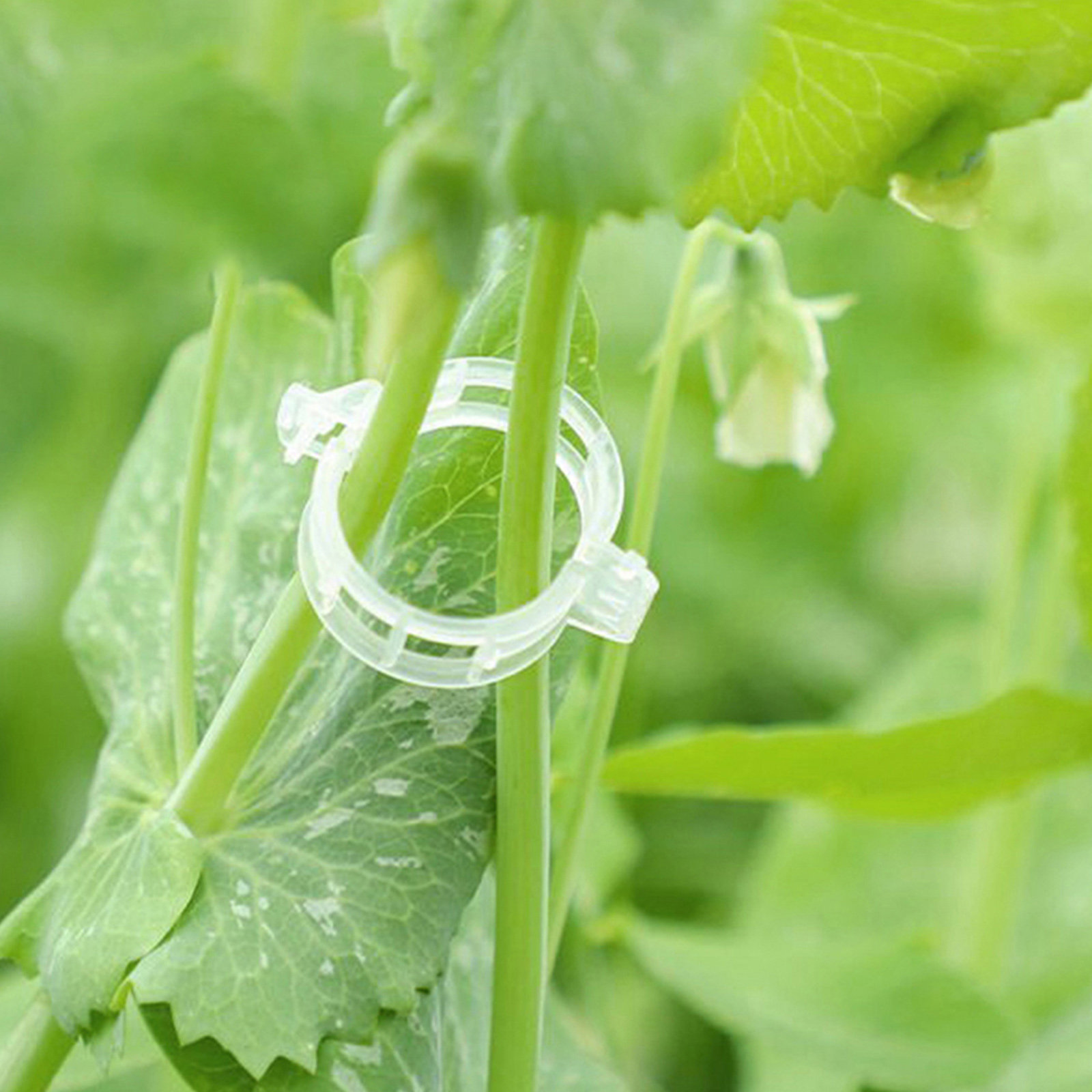 400Pcs Tomato Clips Plastic Ve – Vine Climbing Plastic Bewertung und Preis