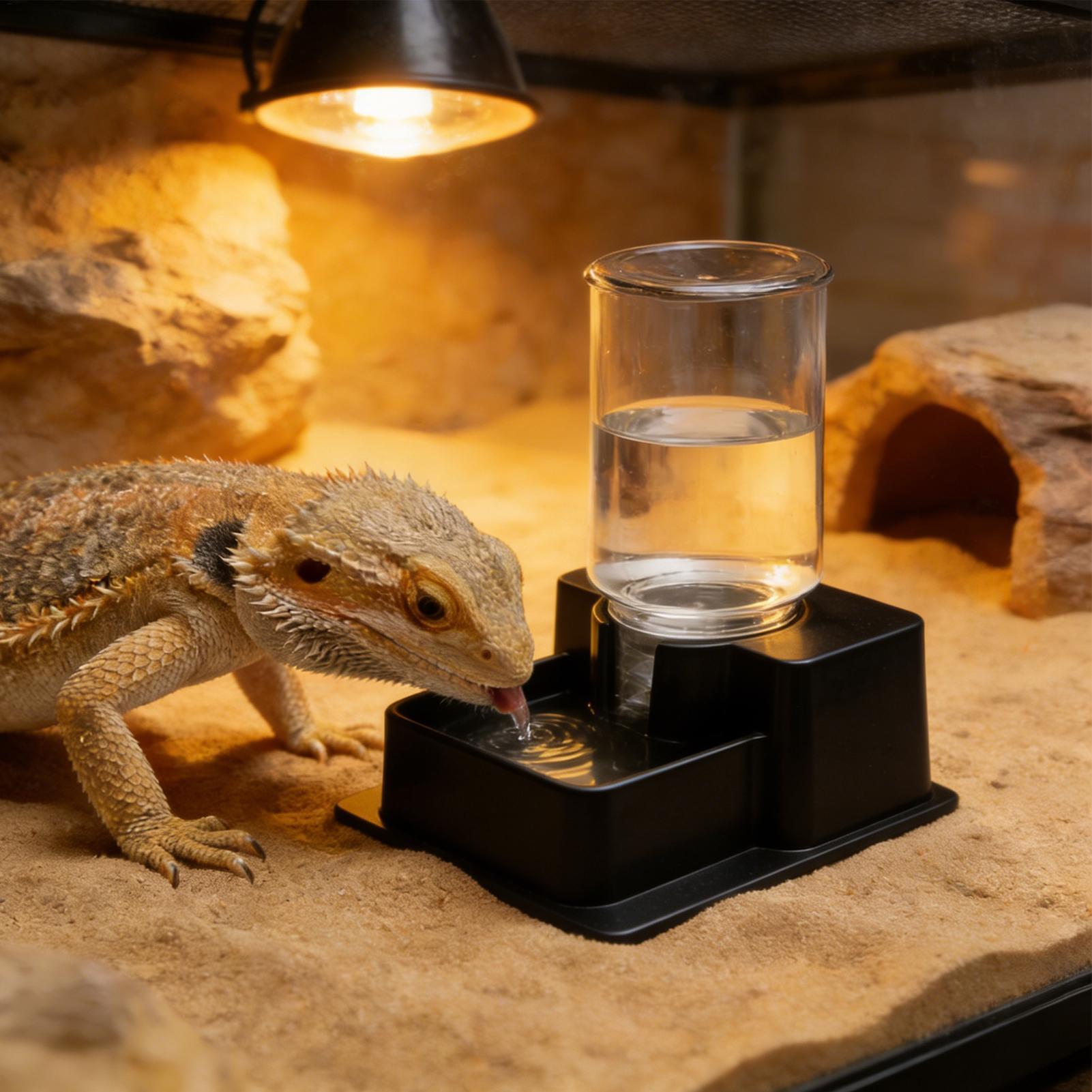 Bearded Dragon Water Fountain  – Water Dish Reptile Bewertung und Preis