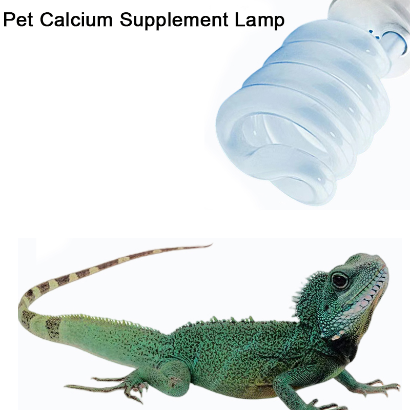 E27 13W/26W Reptile Uvb Lamp   – Calcium Powder Reptile Bewertung und Preis