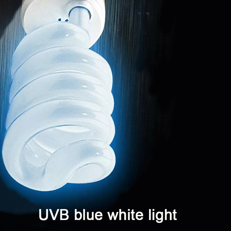 E27 13W/26W Reptile Uvb Lamp   – Calcium Powder Reptile Bewertung und Preis