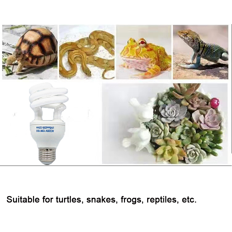 E27 13W/26W Reptile Uvb Lamp   – Calcium Powder Reptile Bewertung und Preis