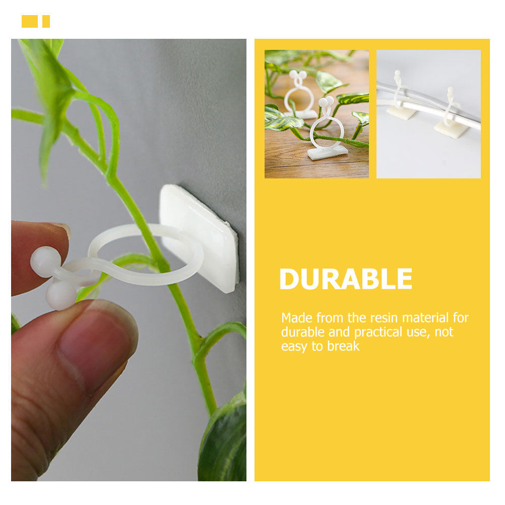 100Pcs Plant Climbing Wall Fix – Vine Climbing Plastic Bewertung und Preis