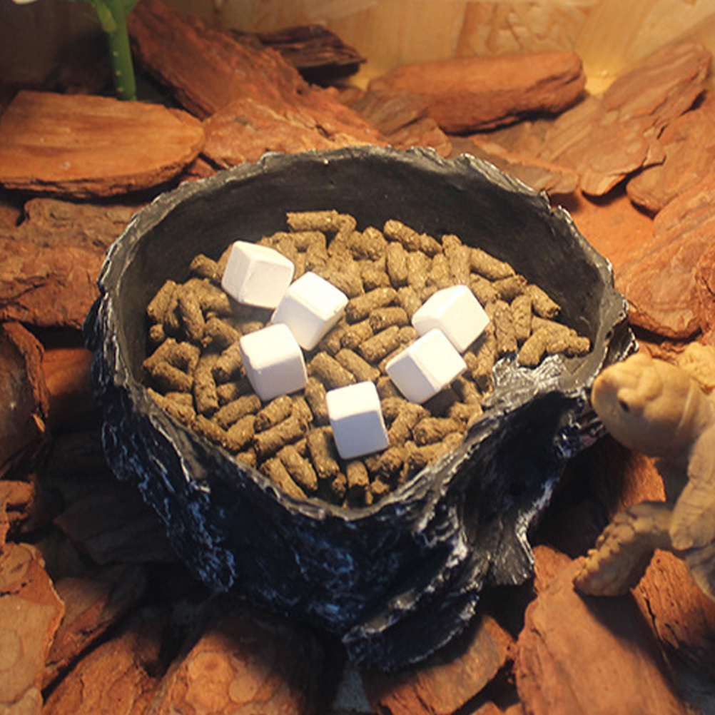 6Pcs Tortoise Tank Calcium Cub – Calcium Powder Reptile Bewertung und Preis