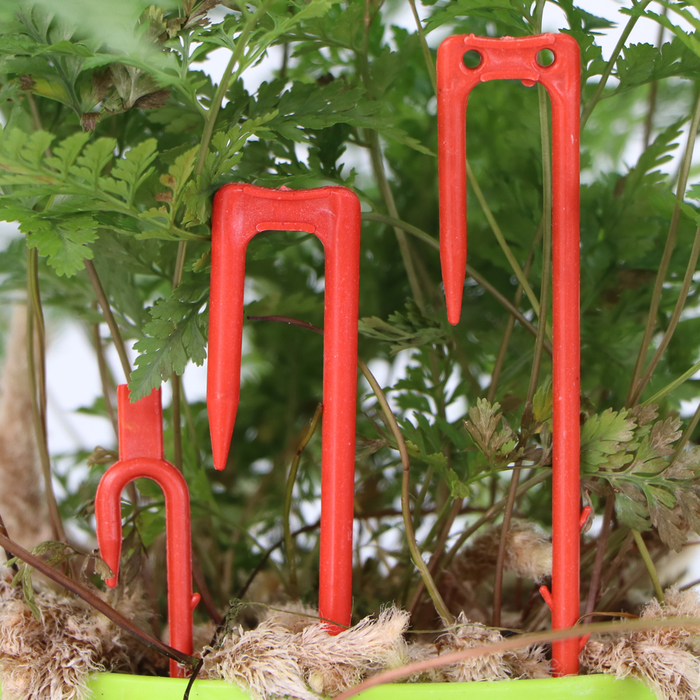 20-50PCS Strawberry Planting F – Vine Climbing Plastic Bewertung und Preis