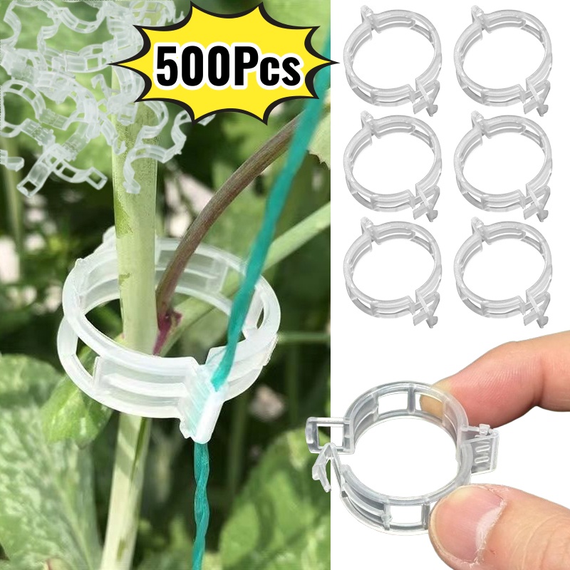 500Pcs Plastic Plant Support C – Vine Climbing Plastic Bewertung und Preis