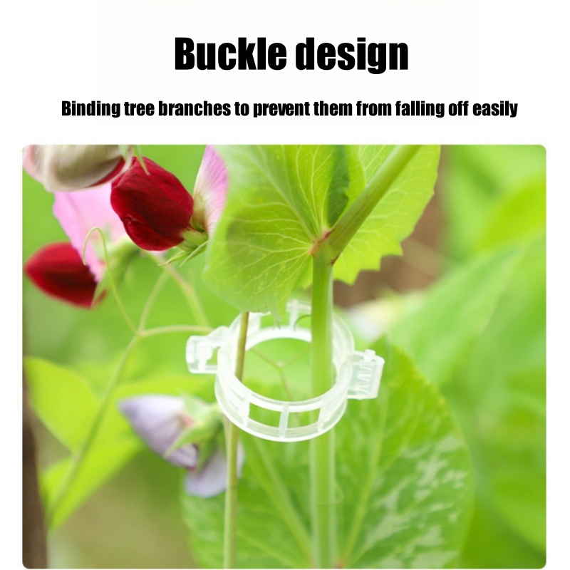 500Pcs Plastic Plant Support C – Vine Climbing Plastic Bewertung und Preis