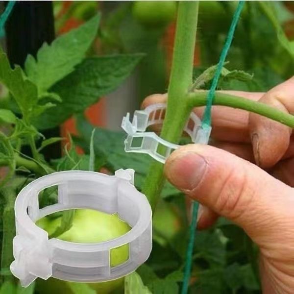 500Pcs Plastic Plant Support C – Vine Climbing Plastic Bewertung und Preis