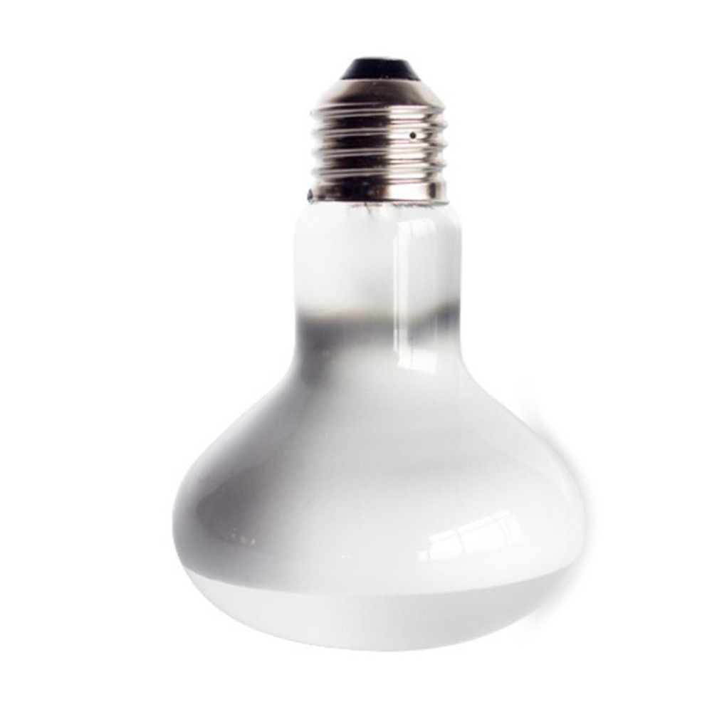 Turtle Temperature Controller  – Basking Bulb Halogen Bewertung und Preis