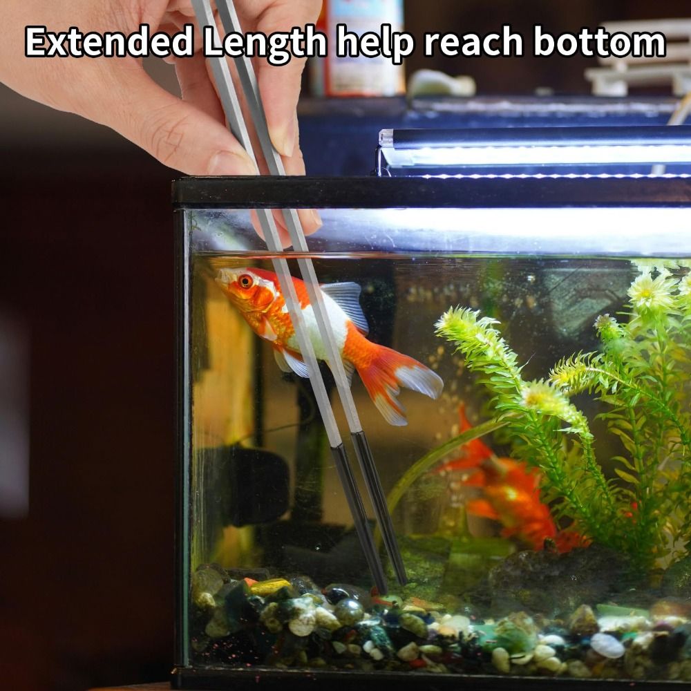 Stainless Steel Aquarium Feedi – Feeding Tong Stainless Bewertung und Preis