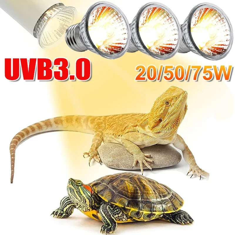 25/50/75W UVB Reptile Lamp Bul – Calcium Powder Reptile Bewertung und Preis