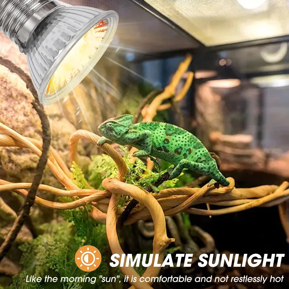 25/50/75W UVB Reptile Lamp Bul – Calcium Powder Reptile Bewertung und Preis