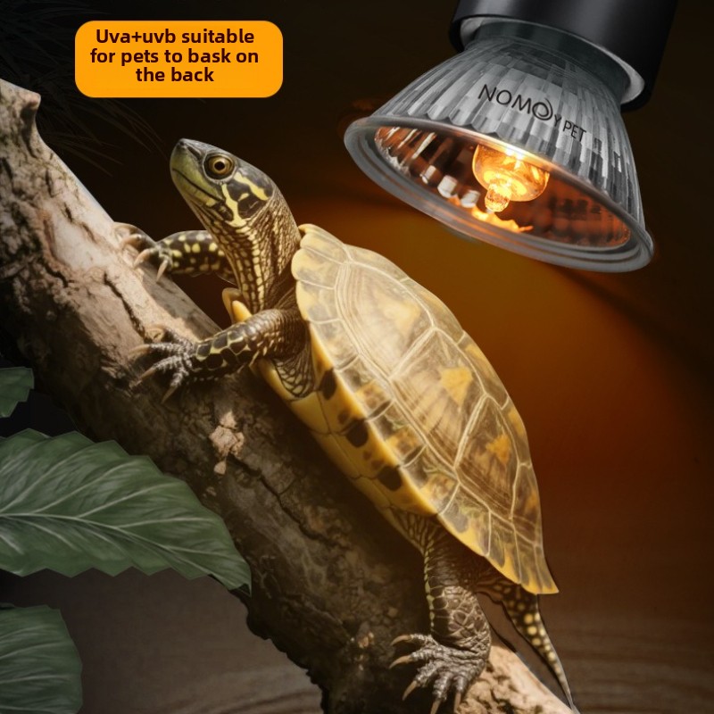 NOMOY 25/50/75w UVB 3.0 Reptil – Vitamin D3 Reptile Bewertung und Preis