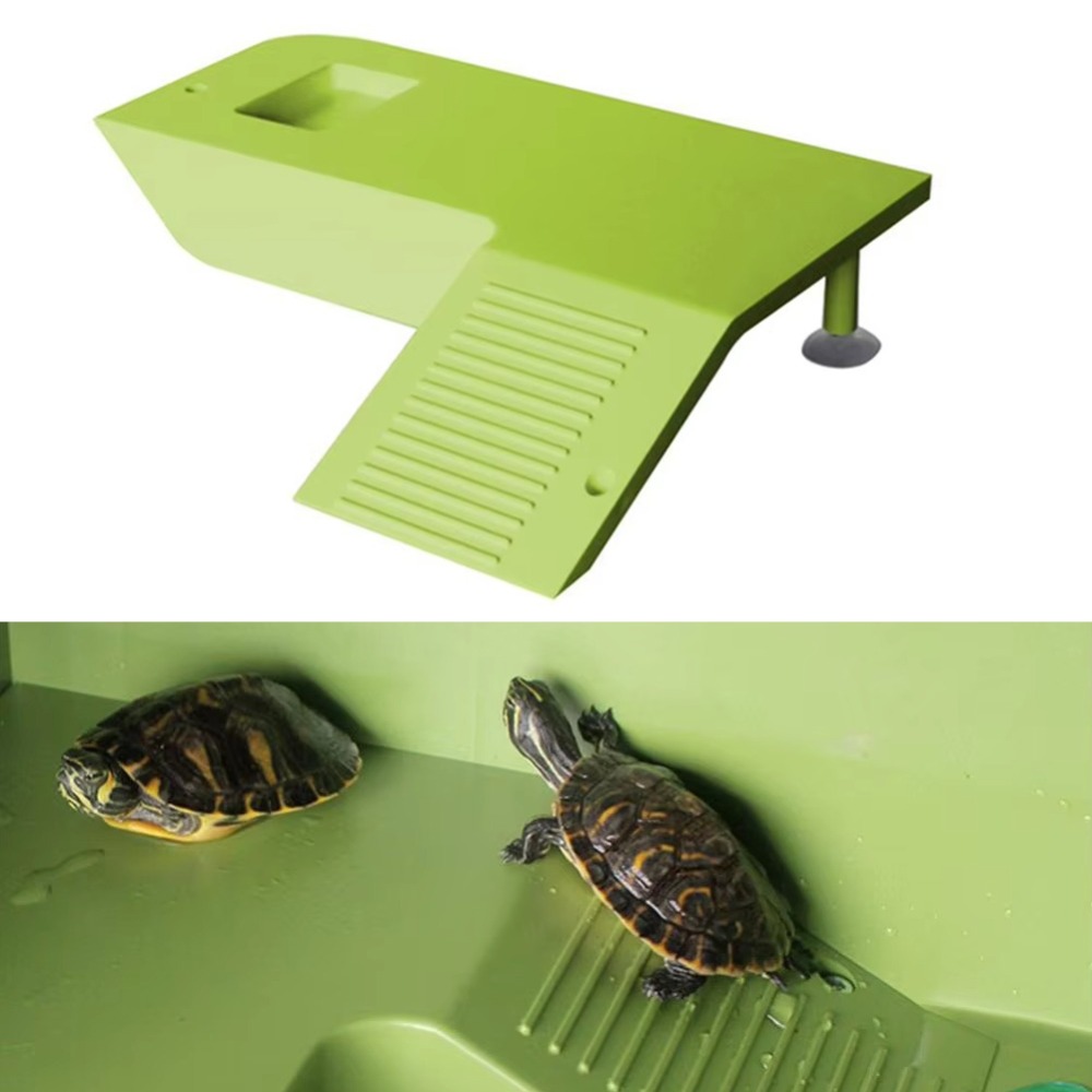 Water Land Slope Box Feeding C – Water Dish Reptile Bewertung und Preis