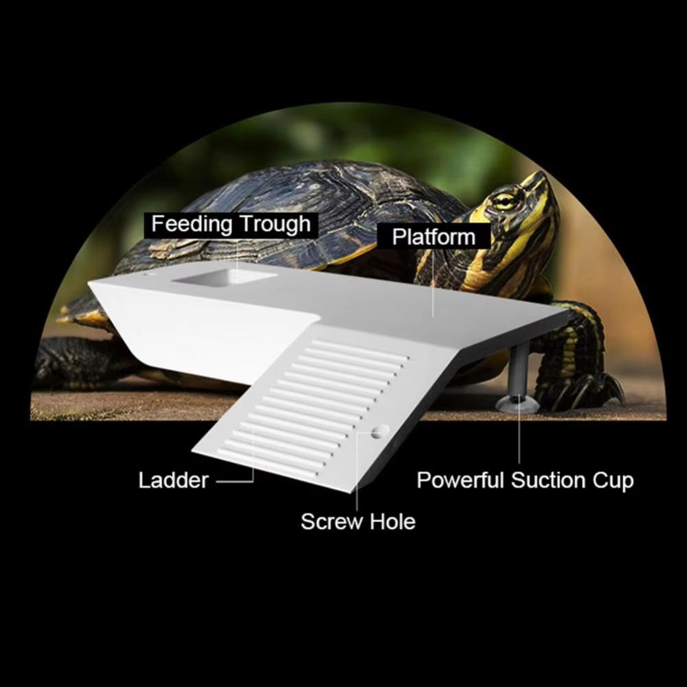Water Land Slope Box Feeding C – Water Dish Reptile Bewertung und Preis