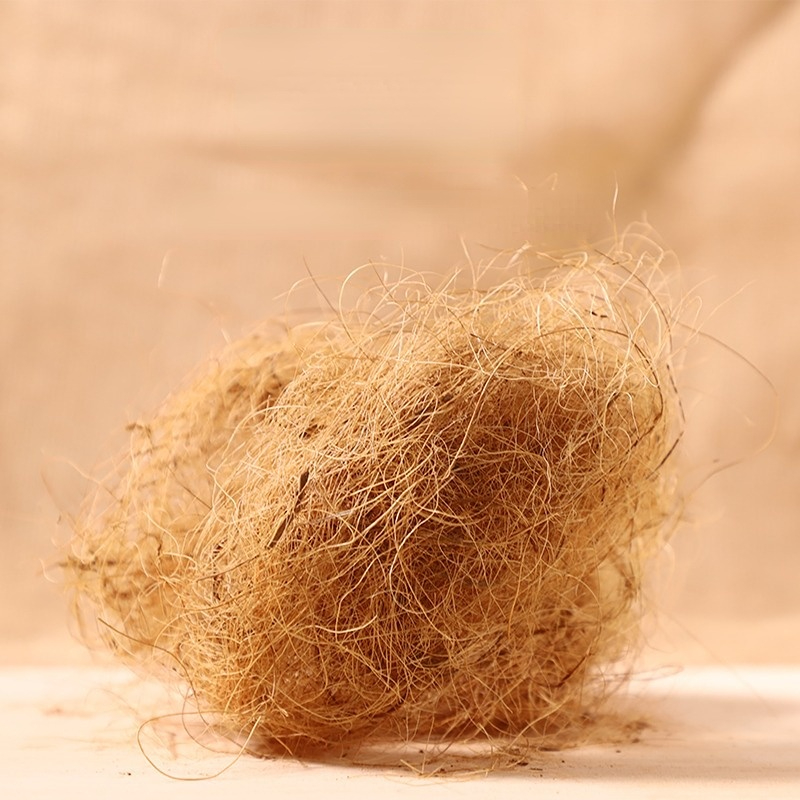 100g Finch Coconut Fiber Loose – Substrate Coconut Fiber Bewertung und Preis