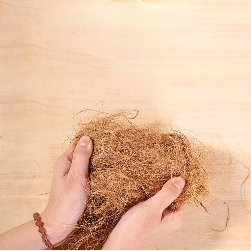 100g Finch Coconut Fiber Loose – Substrate Coconut Fiber Bewertung und Preis