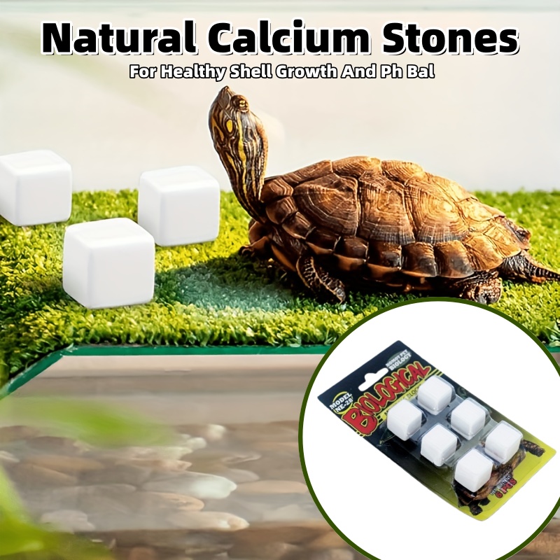 6 Pcs Fish Tank Calcium Block  – Calcium Powder Reptile Bewertung und Preis