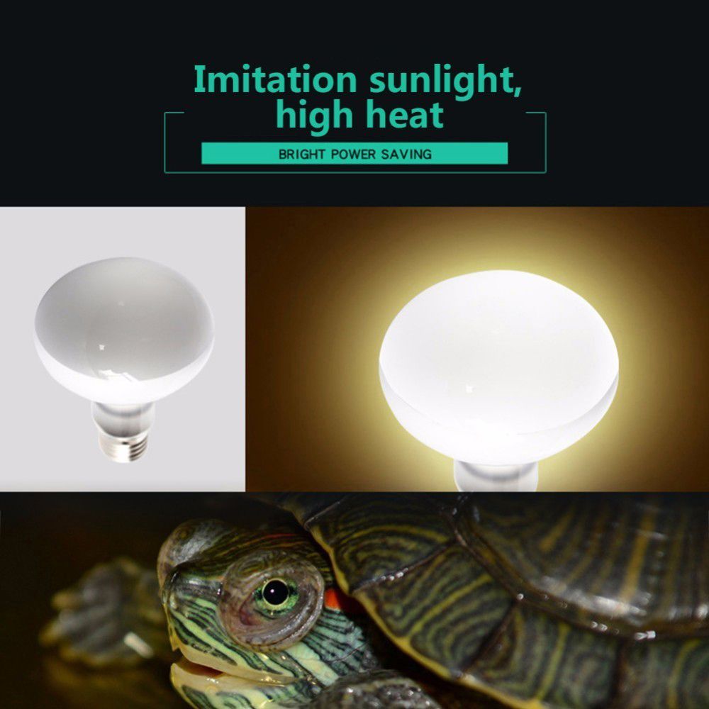 Amphibians Heat Lamp Temperatu – Basking Bulb Halogen Bewertung und Preis