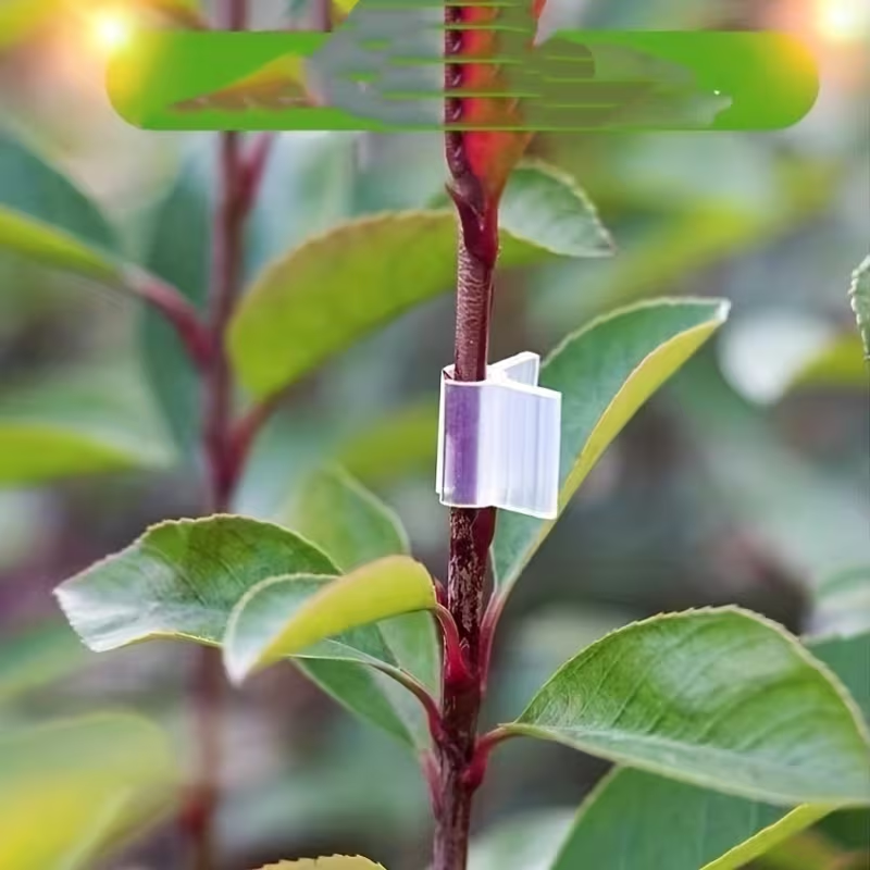 50pcs Agriculture Grafting Cli – Vine Climbing Plastic Bewertung und Preis