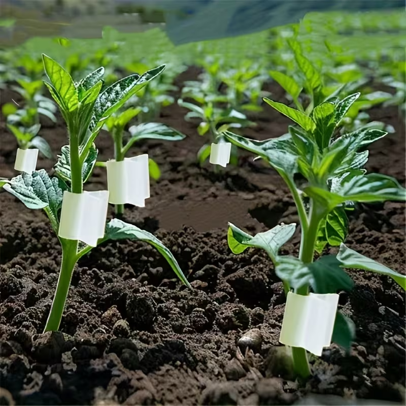 50pcs Agriculture Grafting Cli – Vine Climbing Plastic Bewertung und Preis