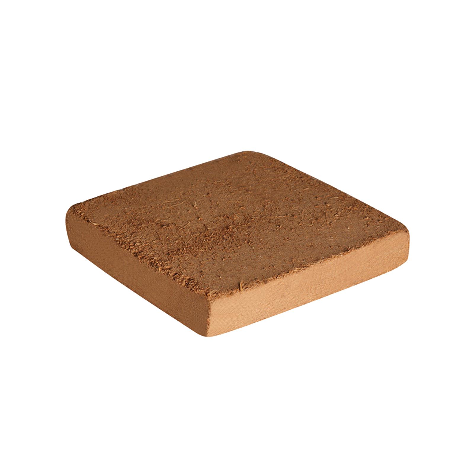 Soil Coconut Fibre Terrarium S – Substrate Coconut Fiber Bewertung und Preis