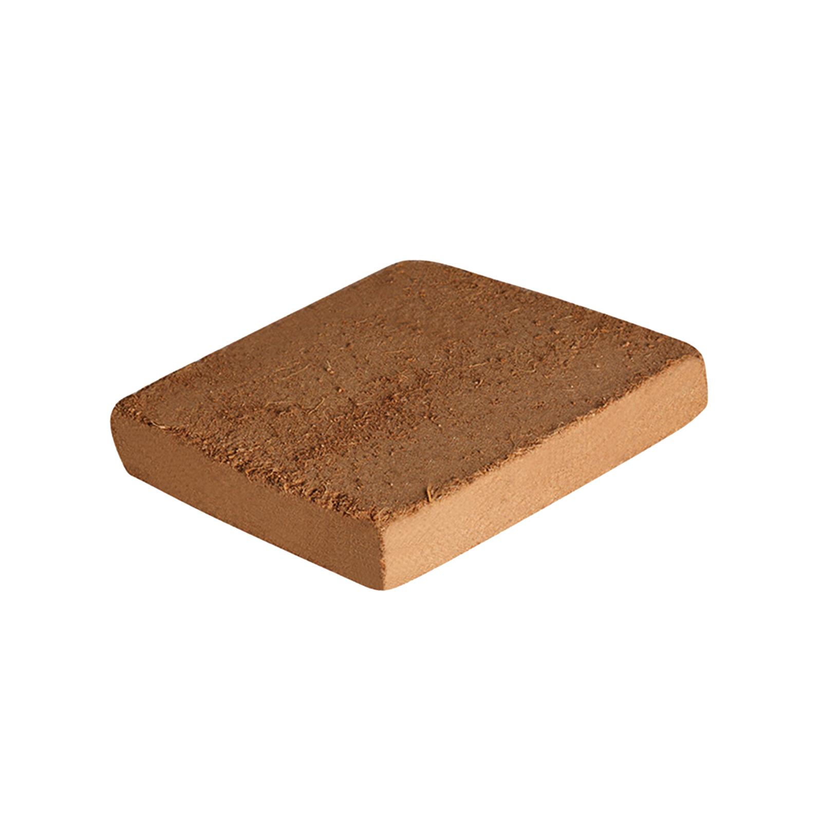 Soil Coconut Fibre Terrarium S – Substrate Coconut Fiber Bewertung und Preis