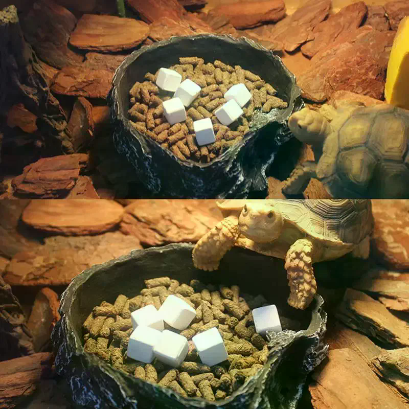 Slow Release Calcium Mineral B – Calcium Powder Reptile Bewertung und Preis
