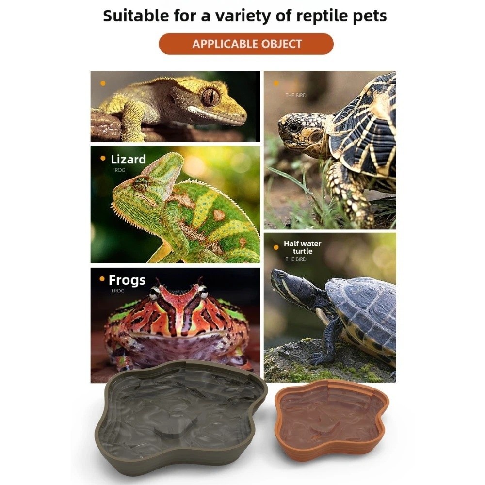 New Plastic Turtle Water Basin – Water Dish Reptile Bewertung und Preis