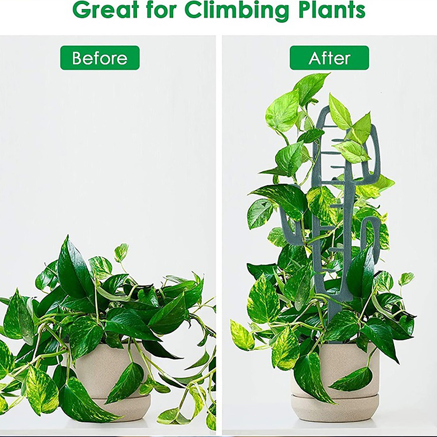 Plant Climbing Support Stand F – Vine Climbing Plastic Bewertung und Preis