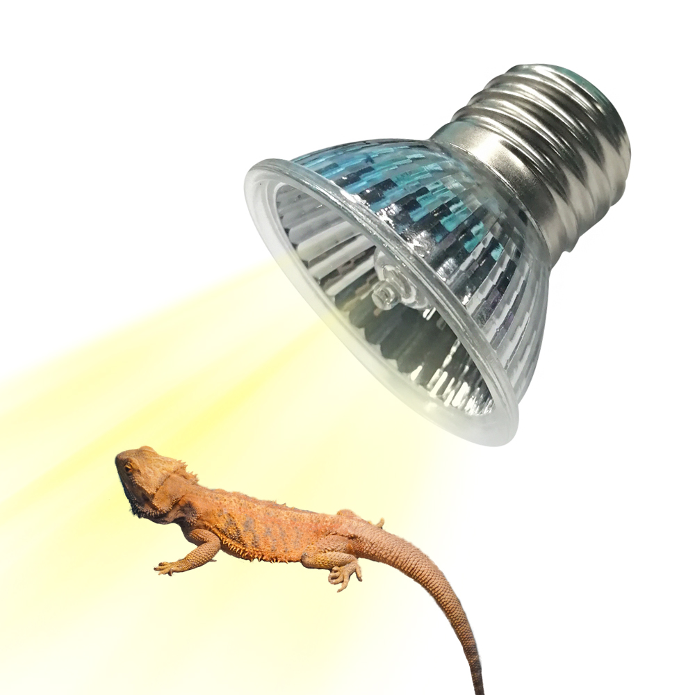 25W/75W/100W Full Spectrum UVA – Calcium Powder Reptile Bewertung und Preis