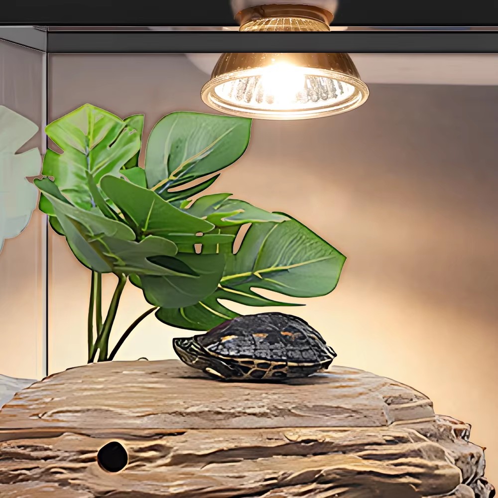 25W/75W/100W Full Spectrum UVA – Calcium Powder Reptile Bewertung und Preis