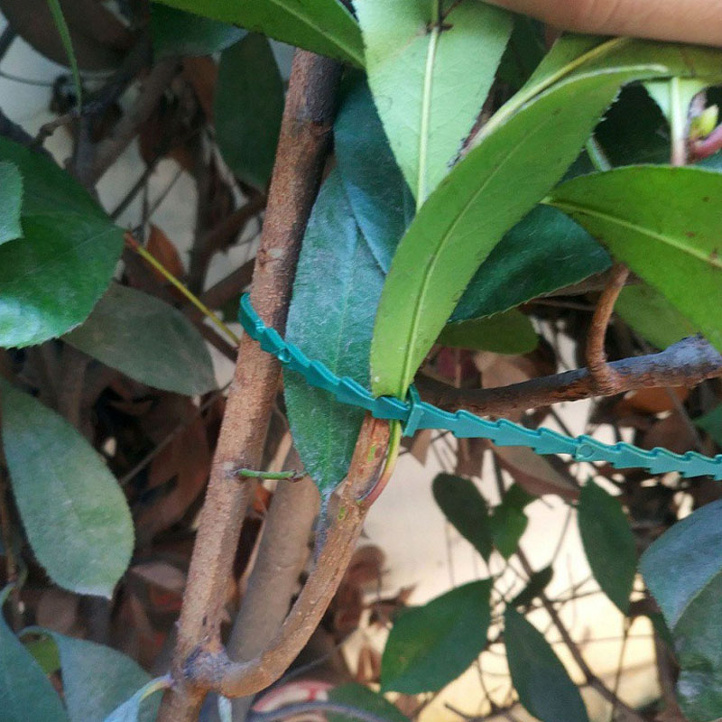 13cm Adjustable Plastic Plant  – Vine Climbing Plastic Bewertung und Preis