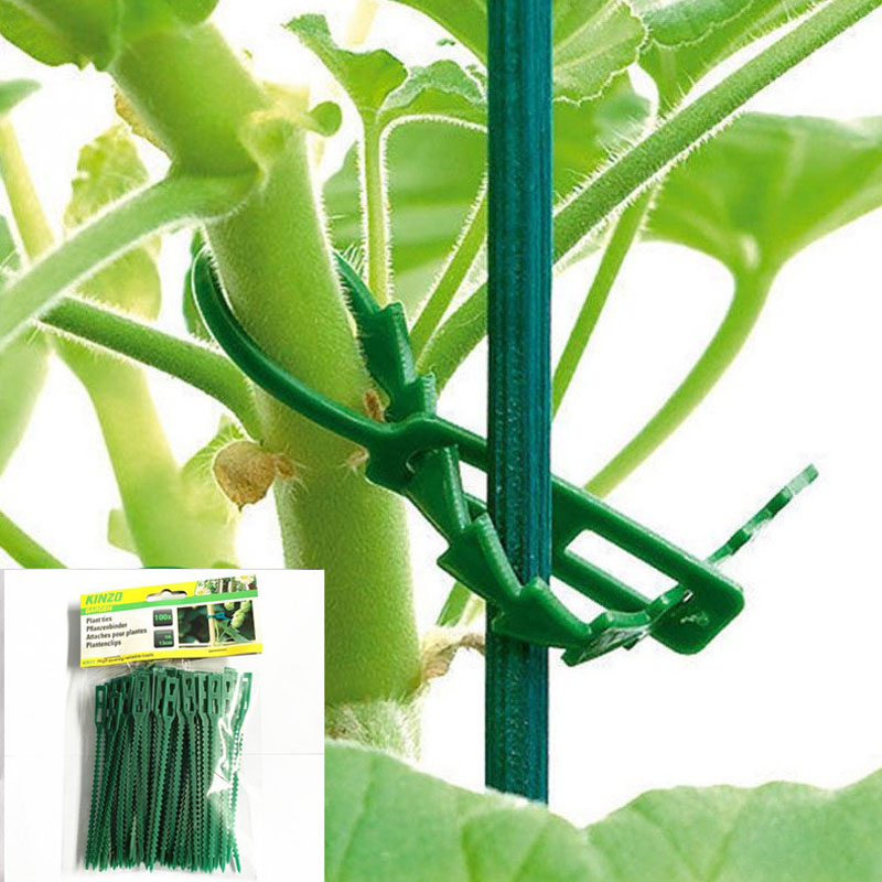 13cm Adjustable Plastic Plant  – Vine Climbing Plastic Bewertung und Preis