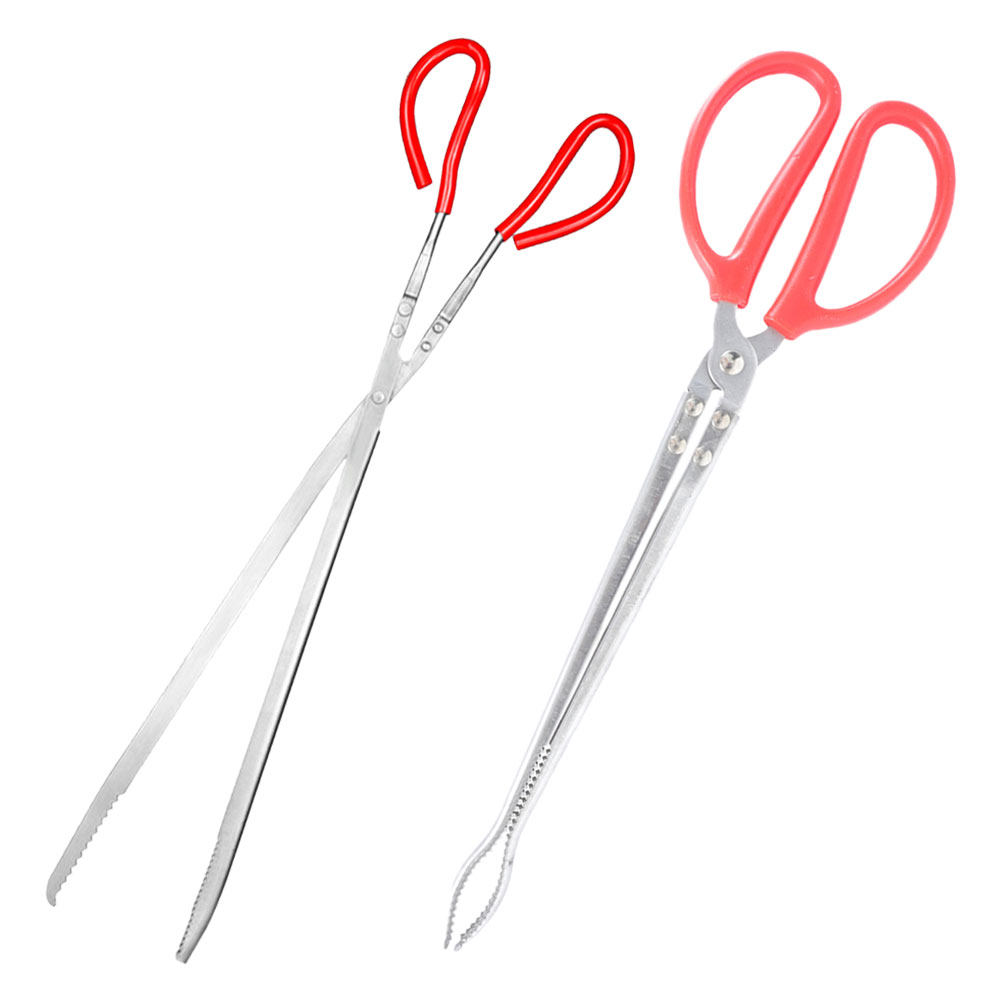 2Pcs Stainless Steel Snake Ton – Feeding Tong Stainless Bewertung und Preis