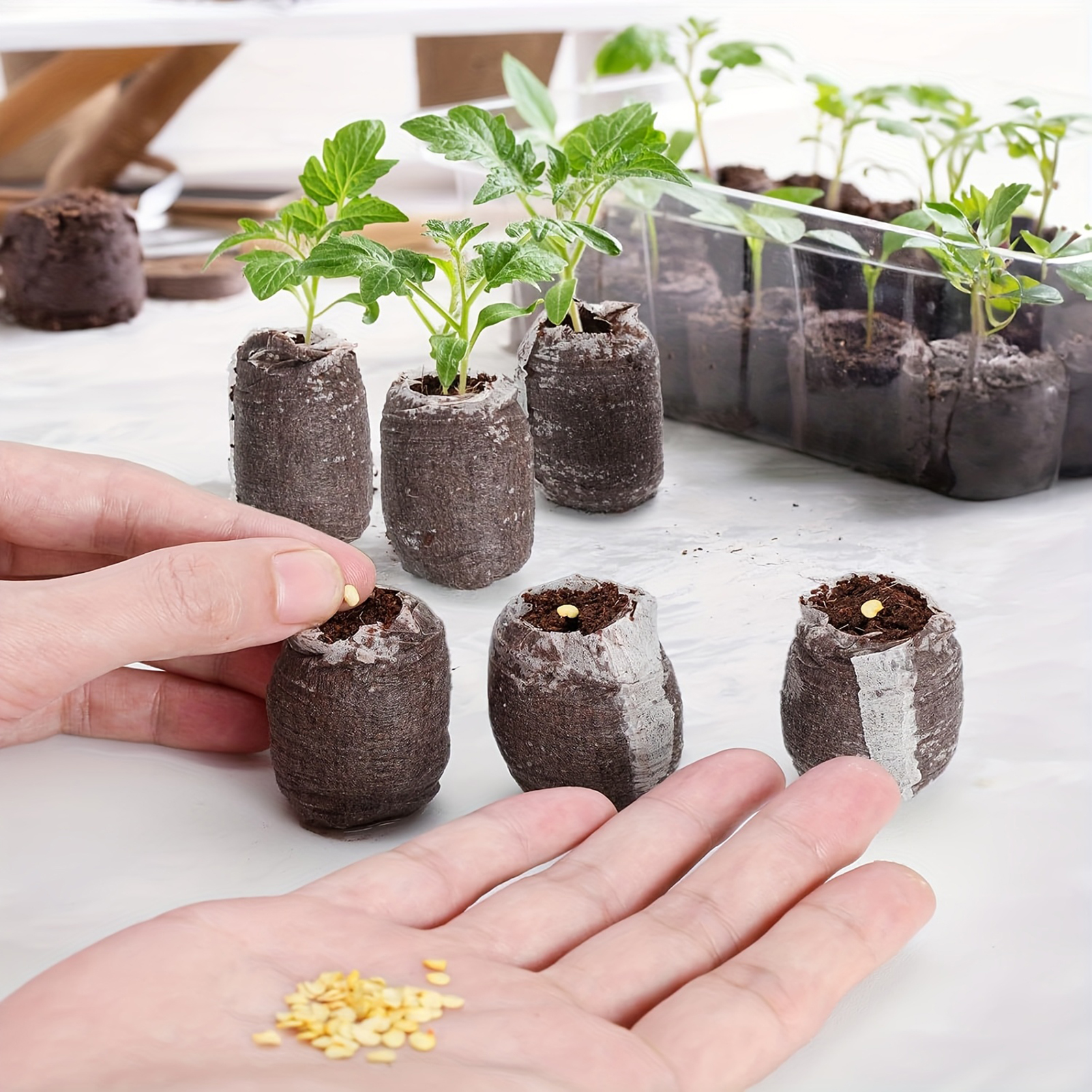10/20/50pcs Plant Growth Bags  – Substrate Coconut Fiber Bewertung und Preis
