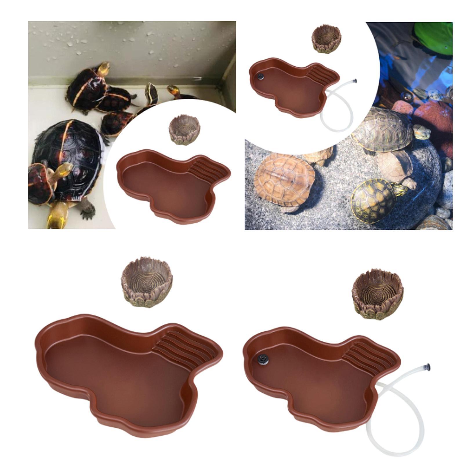 Reptile Feeding Dish Reptile B – Water Dish Reptile Bewertung und Preis