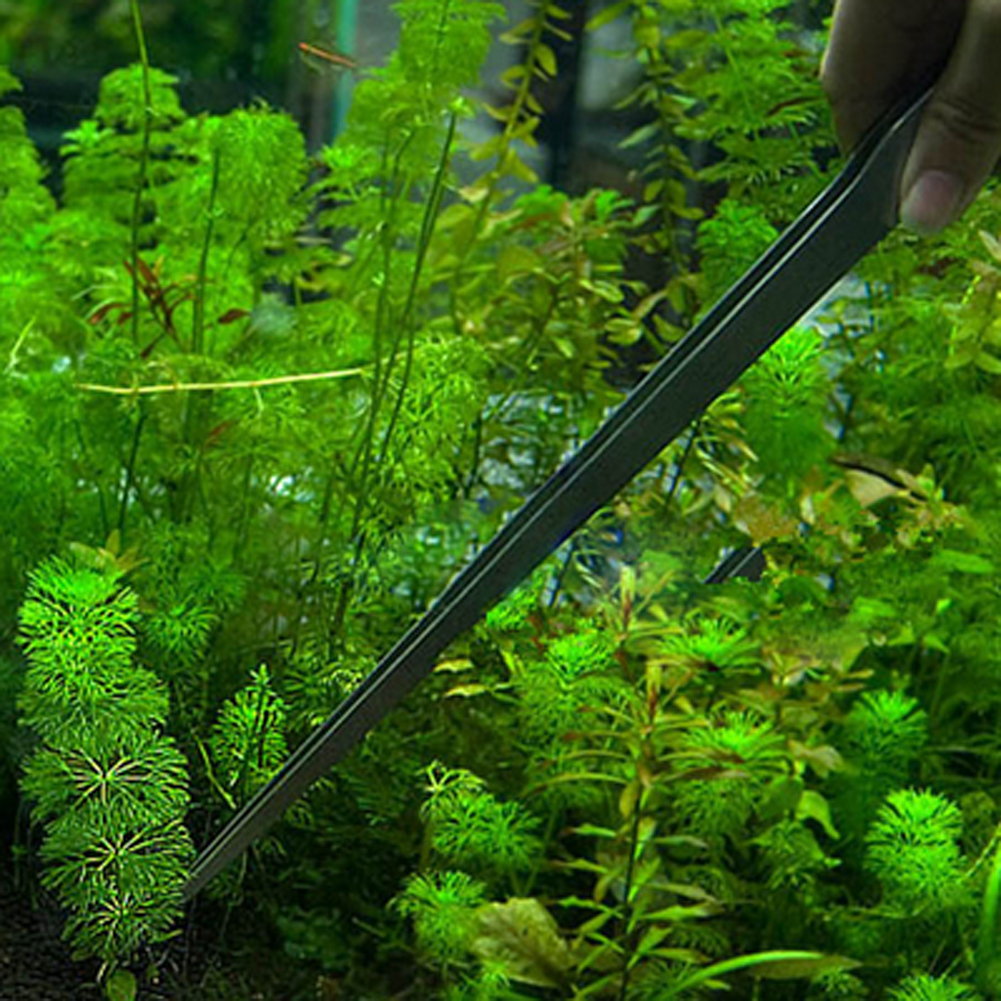 10.5 Inch Reptile Feeding Tong – Feeding Tong Stainless Bewertung und Preis